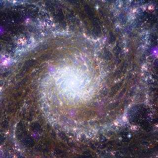 An image related to the James Webb Space Telescope